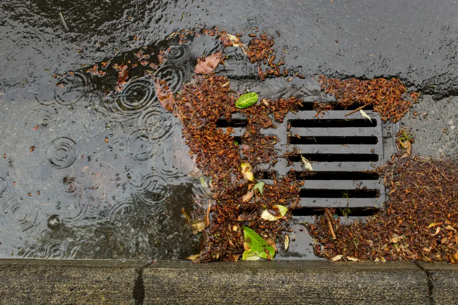 What Causes Outdoor Drains To Block