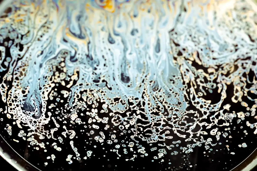 Tips to Preventing Future Blockages