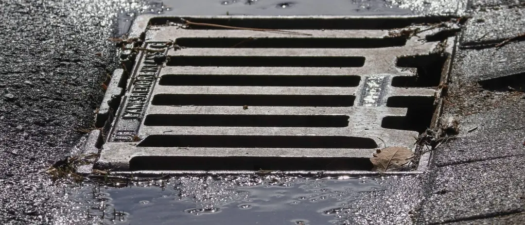 Outdoor drain grate set in a paved surface