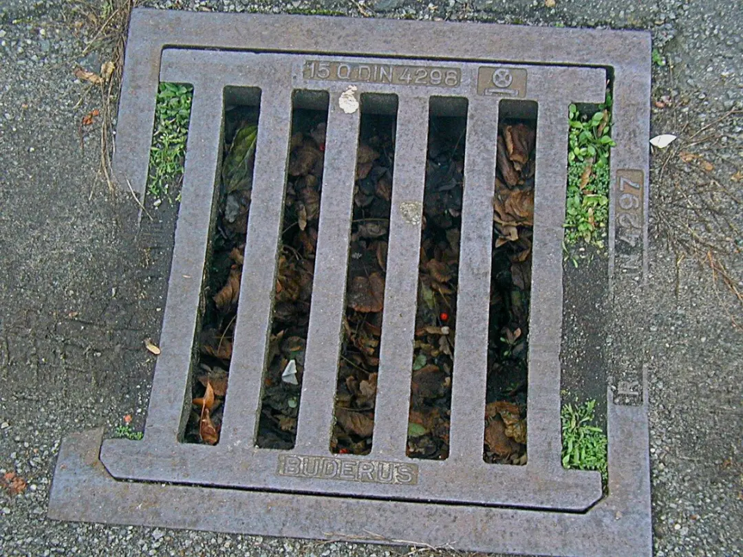 Why is my Outside Drain Blocked?